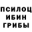 Псилоцибиновые грибы мицелий Berezovsky