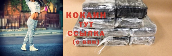стаф Апатиты
