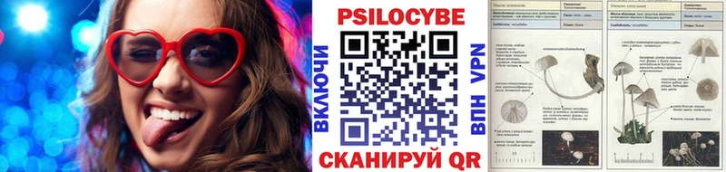Псилоцибиновые грибы Psilocybine cubensis  Владимир 